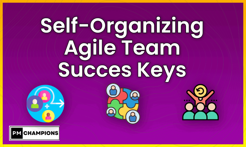 Organizing Agile Team: Success Gateway- Pmchampions.com