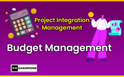 Project Budget Management