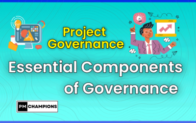 Gouvernance de projet : instances, outils et processus